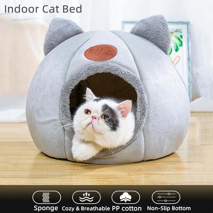 Cat Bed